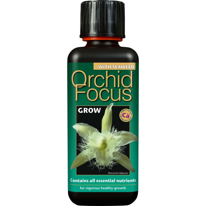 Orchid Focus Grow 300 ml