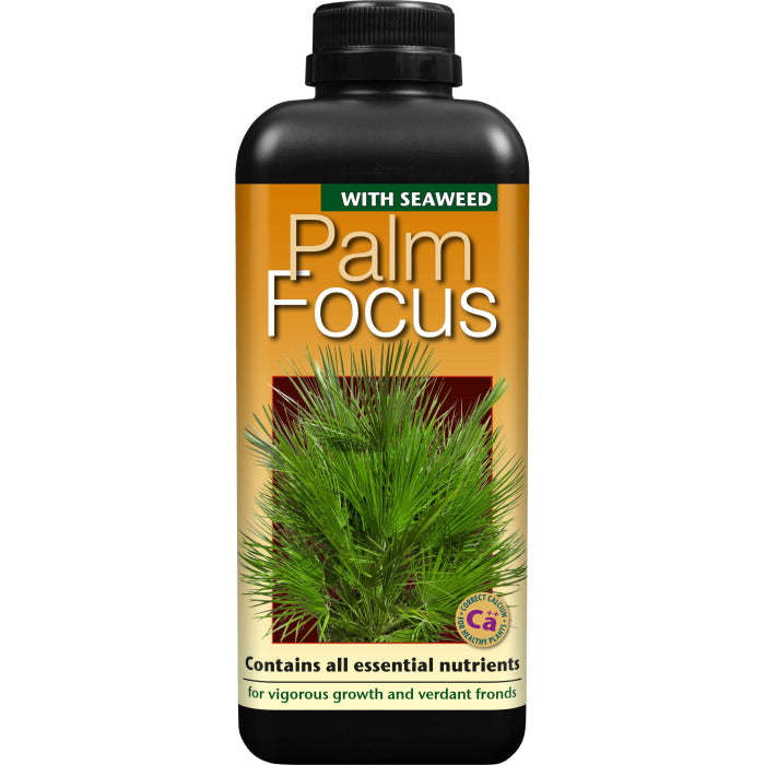 Palm Focus 1 Litre