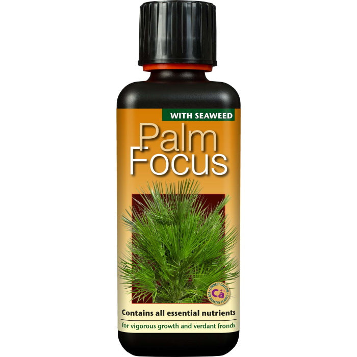 Palm Focus 300 ml