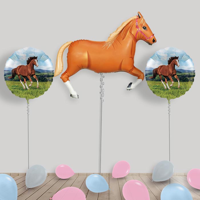 Horse Balloon Display Package in a Box Gift