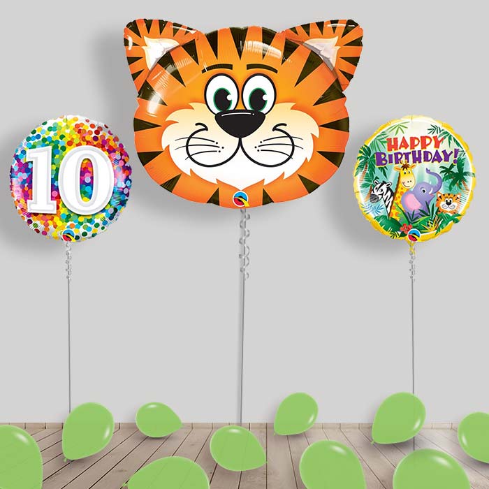 Jungle & Safari Balloon Package Inflated Helium Balloons Delivered - 10th Birthday | Small Indoor Plants