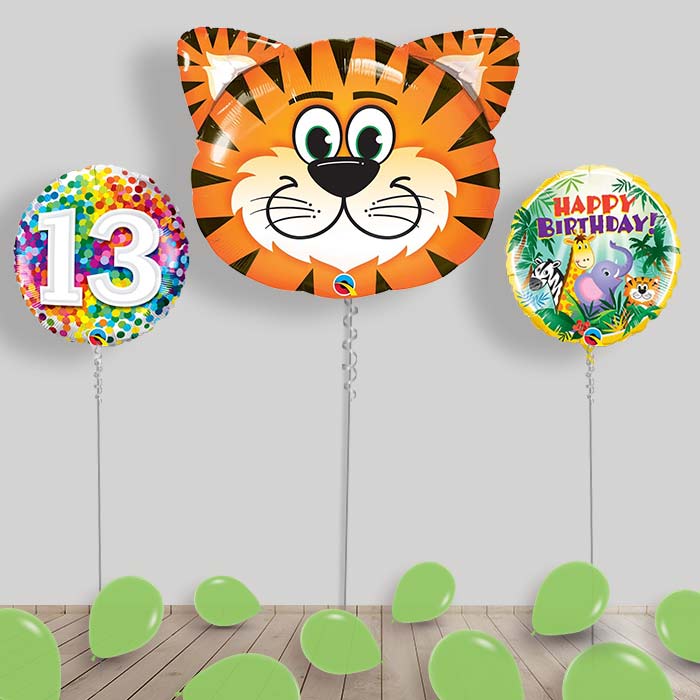 Jungle & Safari Balloon Package Inflated Helium Balloons Delivered - 13th Birthday | Small Indoor Plants