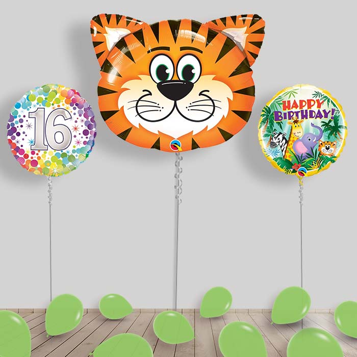 Jungle & Safari Balloon Package Inflated Helium Balloons Delivered - 16th Birthday | Small Indoor Plants