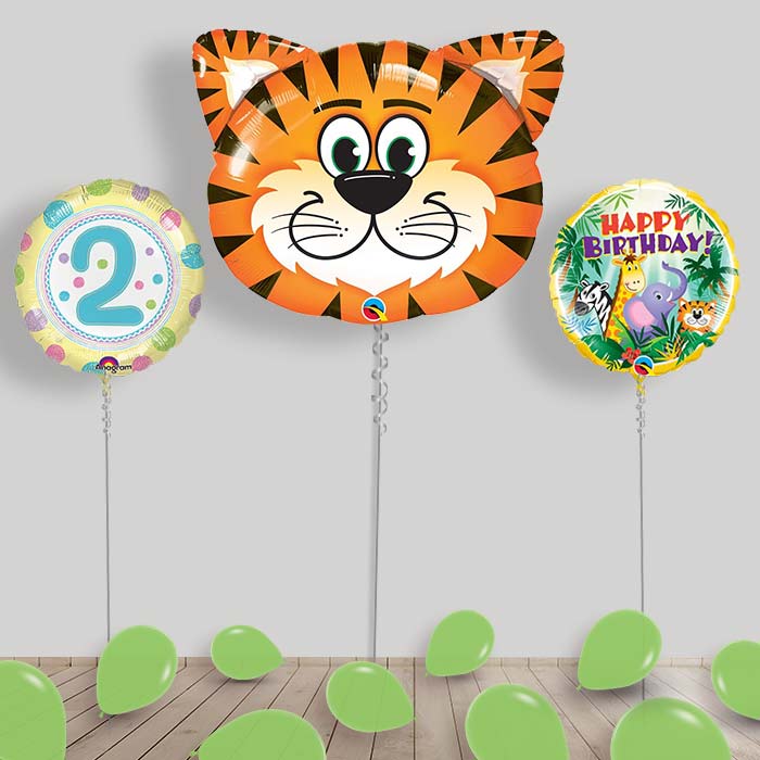 Jungle & Safari Balloon Package Inflated Helium Balloons Delivered - 2nd Birthday | Small Indoor Plants
