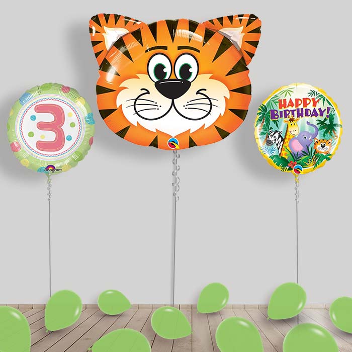 Jungle & Safari Balloon Package Inflated Helium Balloons Delivered - 3rd Birthday | Small Indoor Plants