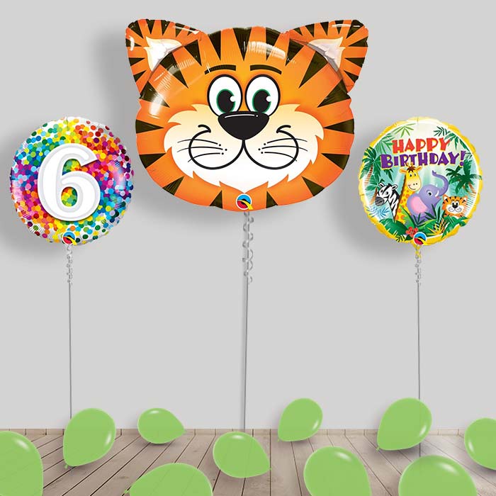 Jungle & Safari Balloon Package Inflated Helium Balloons Delivered - 6th Birthday | Small Indoor Plants