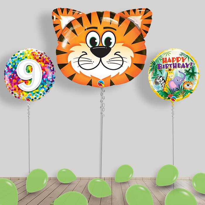 Jungle & Safari Balloon Package Inflated Helium Balloons Delivered - 9th Birthday | Small Indoor Plants