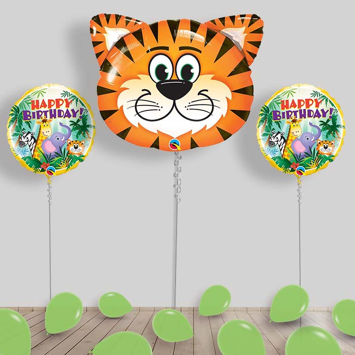 Jungle & Safari Balloon Package Inflated Helium Balloons Delivered - 1st Birthday | Small Indoor Plants