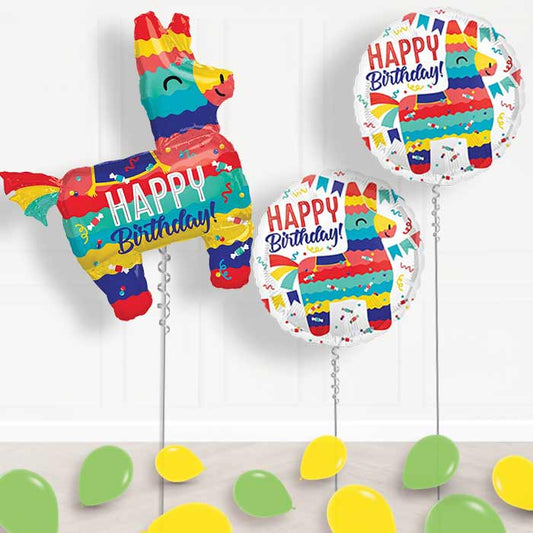 Fiesta Balloons in a Box Package - Package | Small Indoor Plants