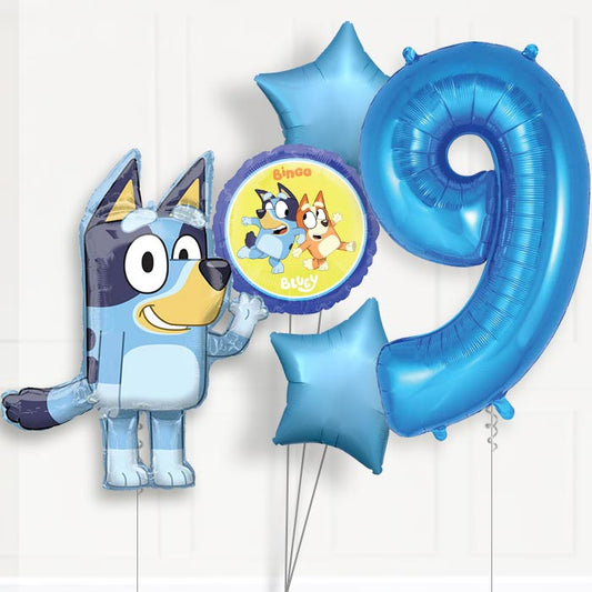 Bluey Helium Balloon Package 9th Birthday - Number 9 | Small Indoor Plants