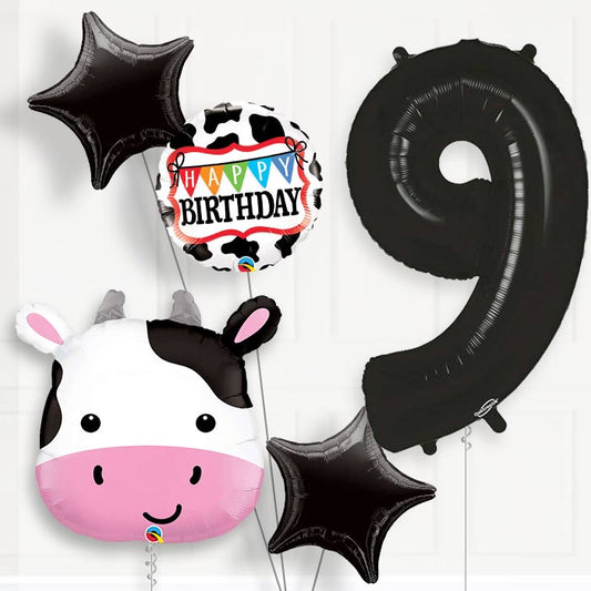 Cow Helium Balloon Package 9th Birthday - Number 9 | Small Indoor Plants
