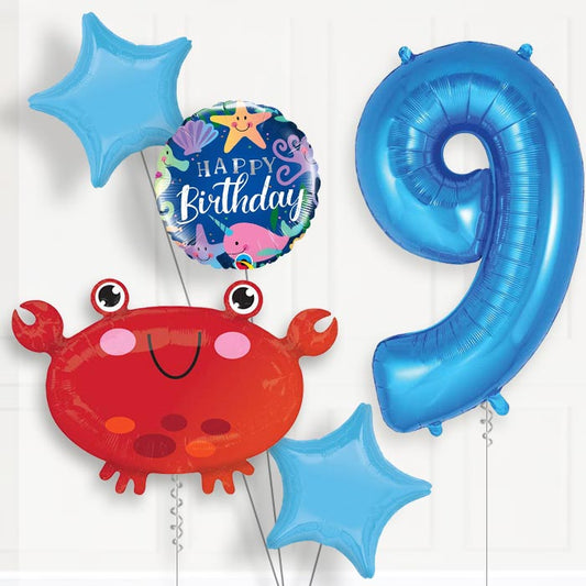 Crab Helium Balloon Package 9th Birthday - Number 9 | Small Indoor Plants