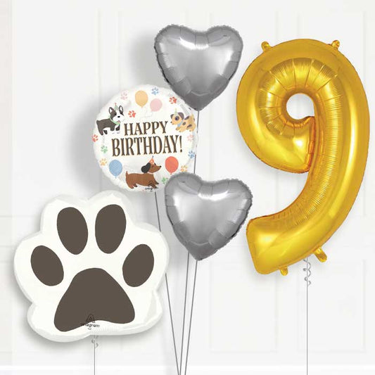 Dog Helium Balloon Package 9th Birthday - Number 9 | Small Indoor Plants