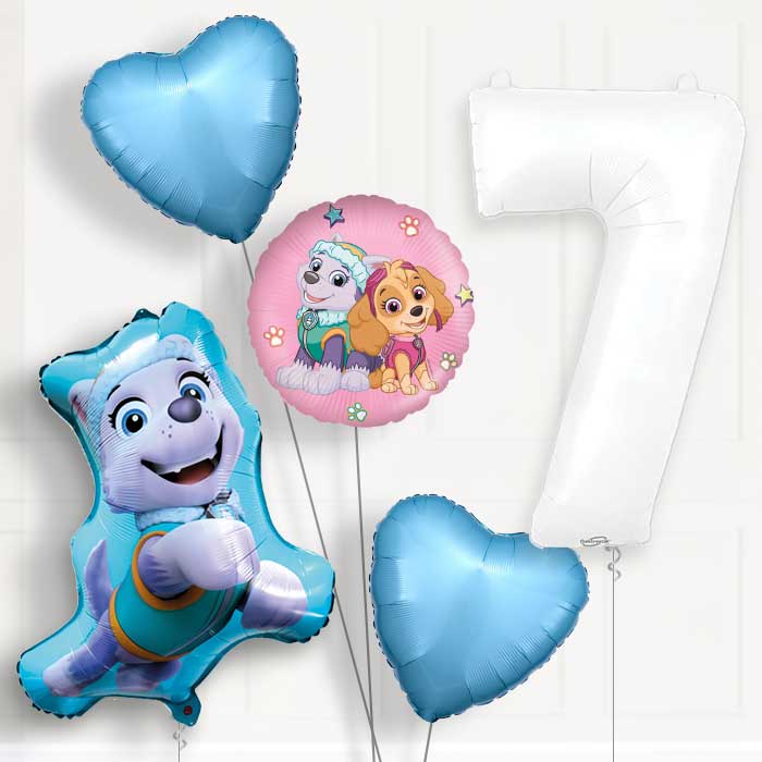 Everest Helium Balloon Package 7th Birthday - Number 7 | Small Indoor Plants