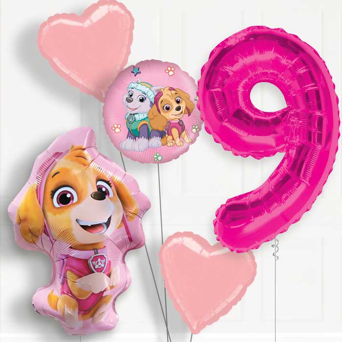 Skye Shaped Helium Balloon Package 9th Birthday