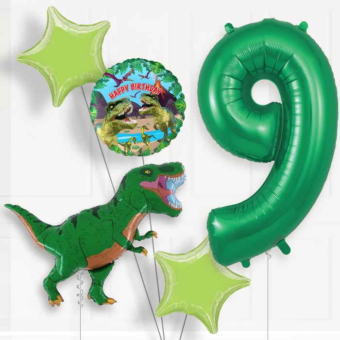 Green T Rex Helium Balloon Package 9th Birthday - Number 9 | Small Indoor Plants