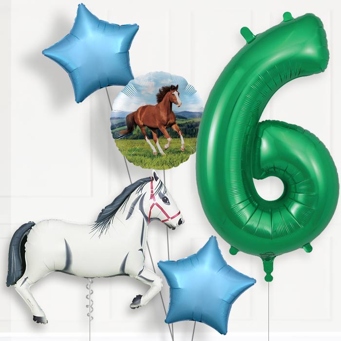 White Horse Helium Balloon Package 6th Birthday