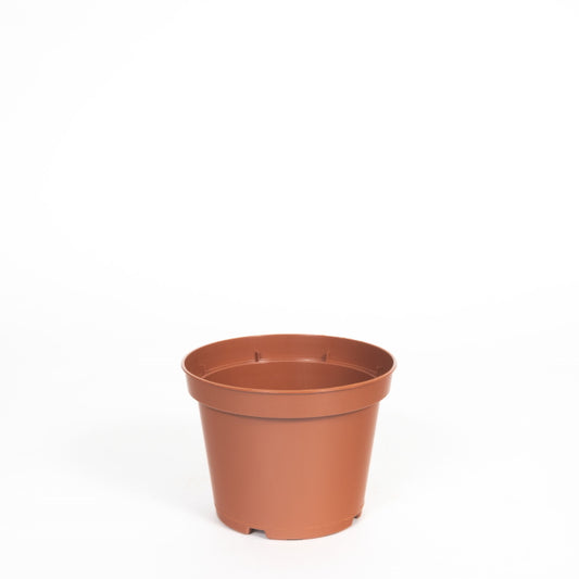 Plastic Indoor Plant Pot 11cm