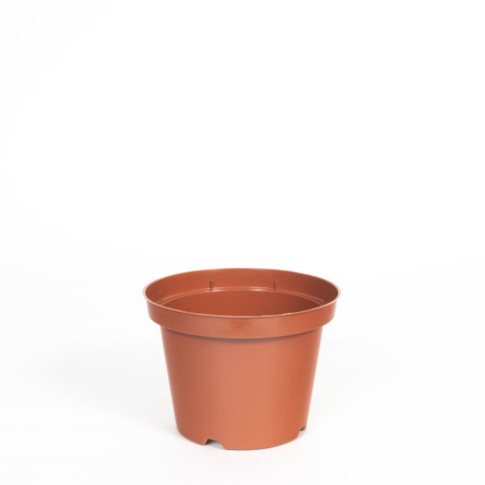 Plastic House Plant Pot 12cm