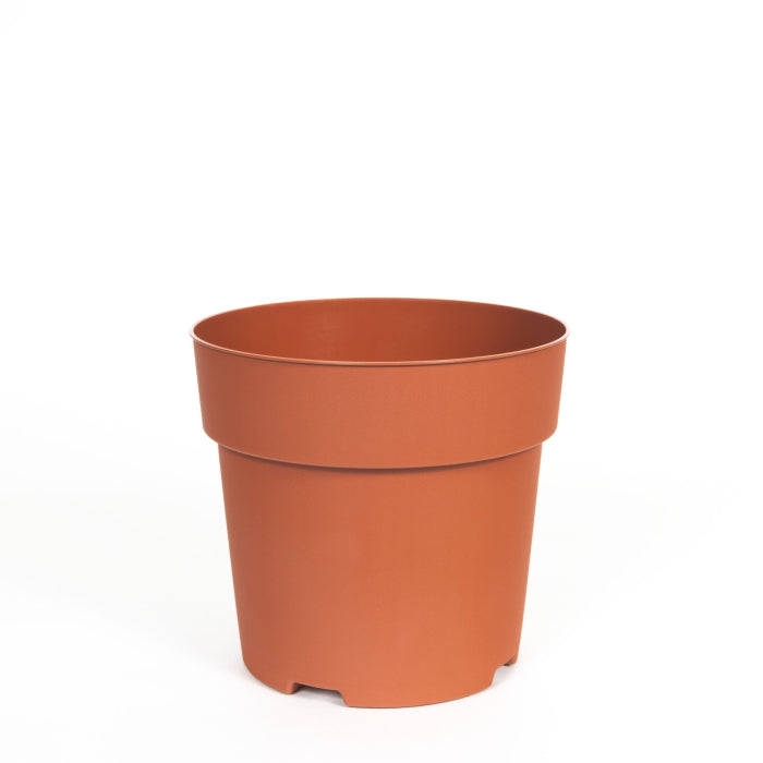 Plastic House Plant Pot 15cm