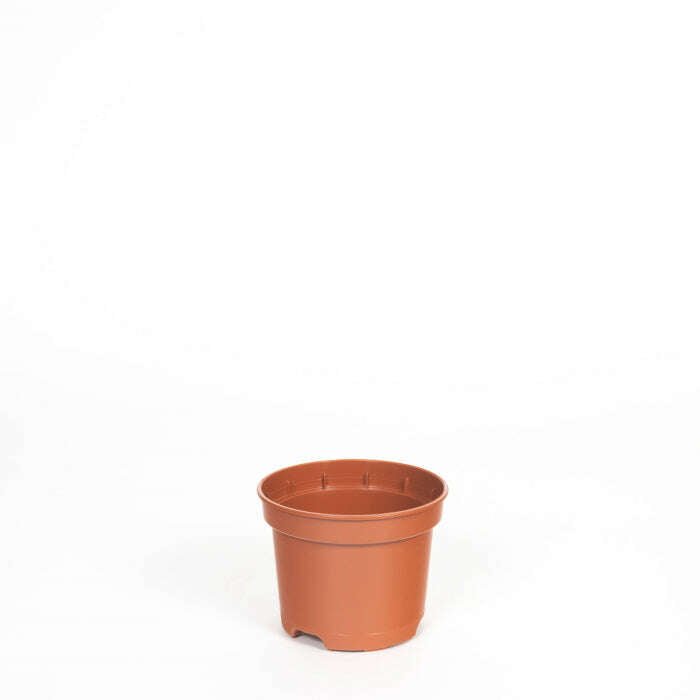 8cm plant pot 8cm Plant Pot Plastic Houseplant Pot