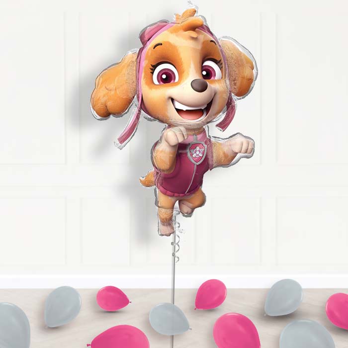 Shaped Skye Paw Patrol Balloon Package Delivered