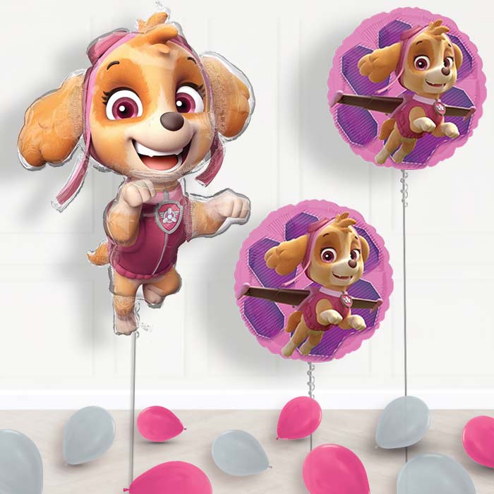 Shaped Skye Paw Patrol Balloon Package Delivered