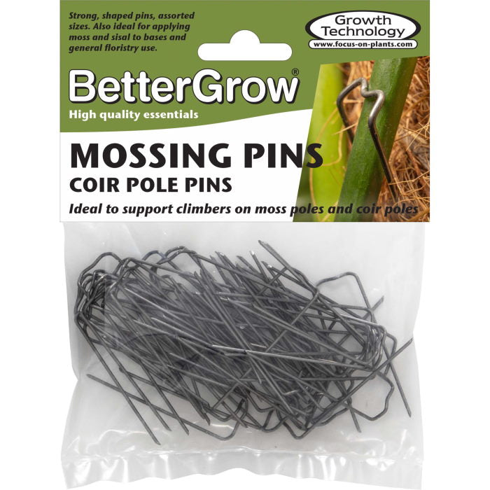 Mossing pins for climbing plants and floristry