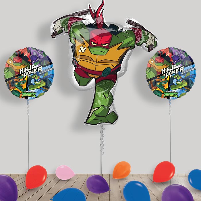 Ninja Turtles Balloons in a Box Package - Package | Small Indoor Plants