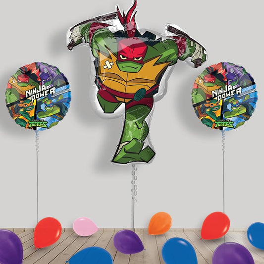 Ninja Turtles Balloons in a Box Package - Package | Small Indoor Plants