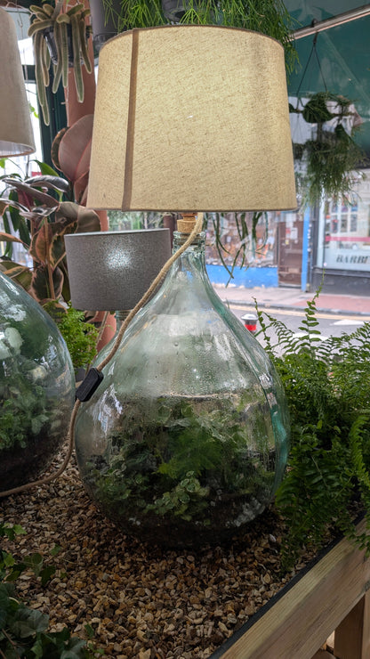 DIY Glass Terrarium Table Lamp