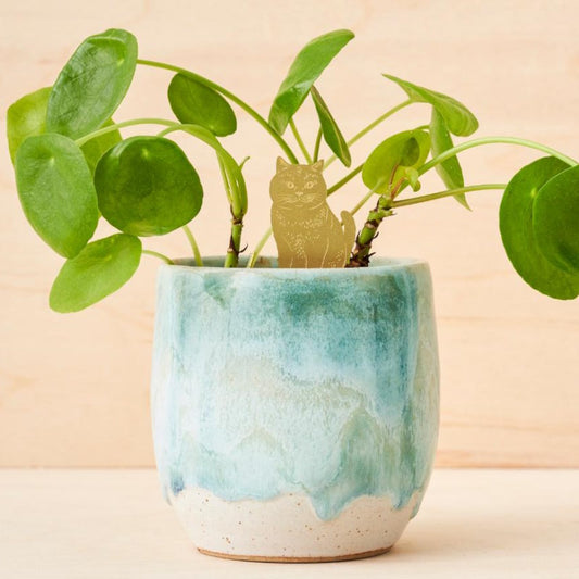 Plant Animal Cat Houseplant Hanging Decoration in pot