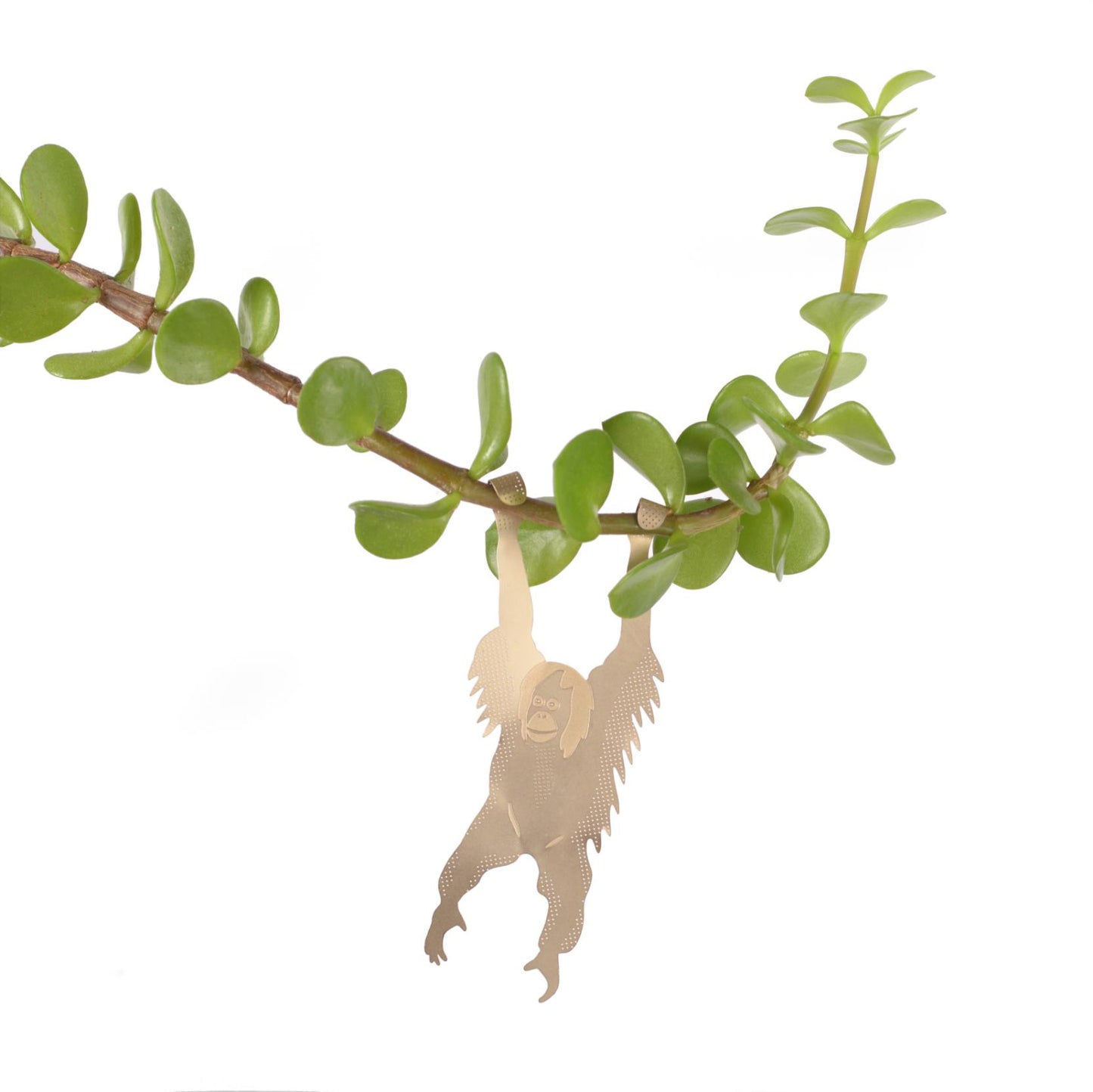 Plant Animal Orangutan Houseplant Hanging Decoration on houseplant