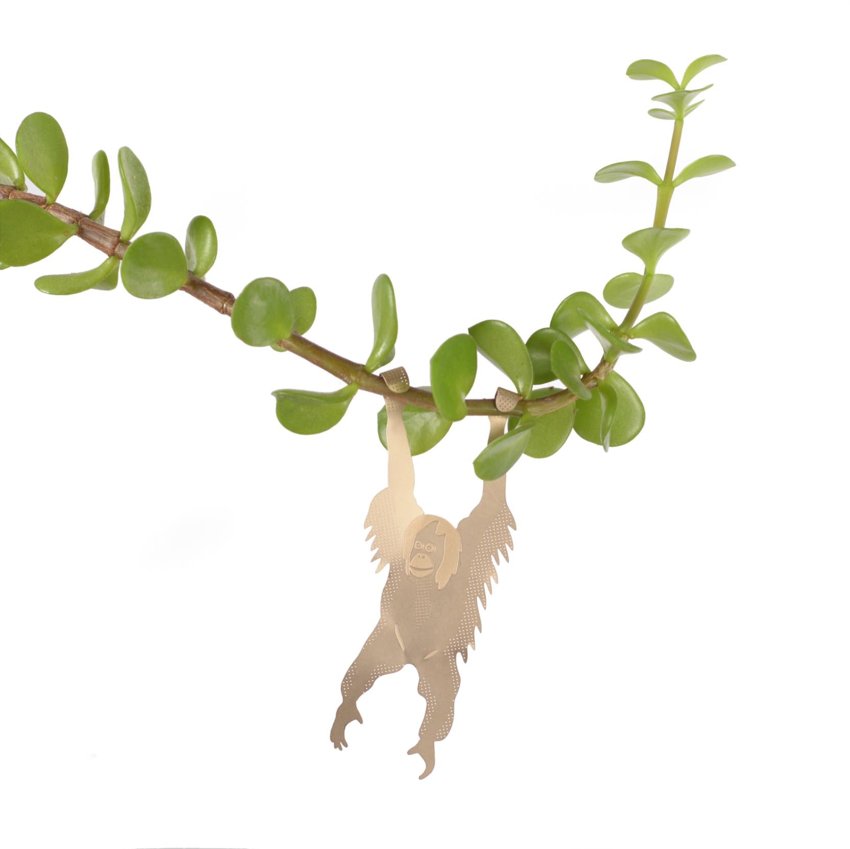 Plant Animal Orangutan Houseplant Hanging Decoration on houseplant