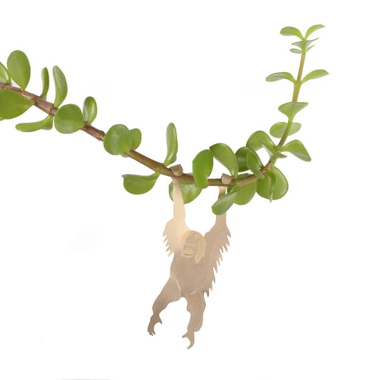 Plant Animal Orangutan Houseplant Hanging Decoration on houseplant