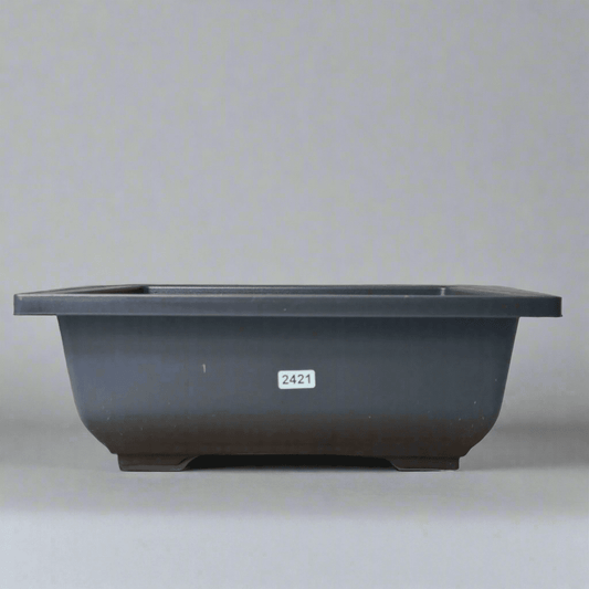 Plastic_2024-05-30T09_23_28.022Z
