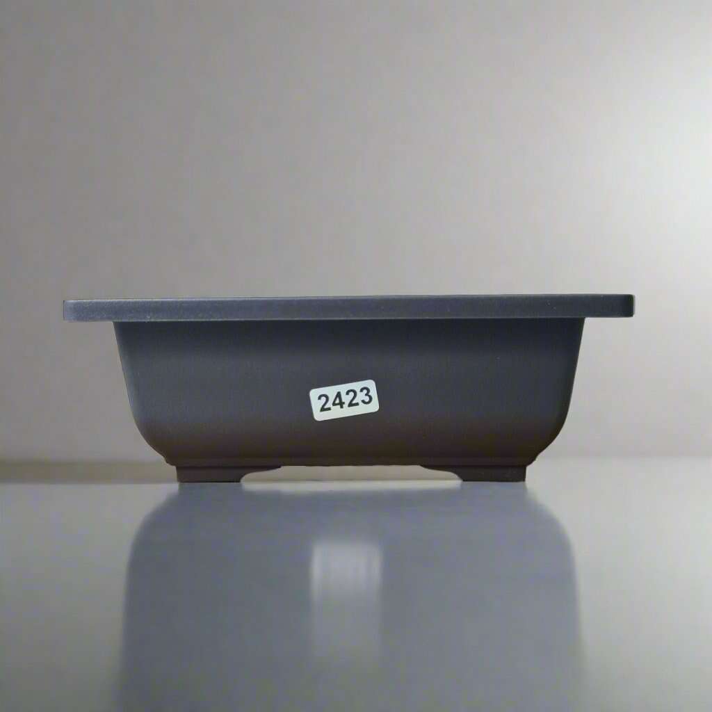 Plastic_Bonsai_Training_Pot_Rectangle_16cm_x_12cm_x_6cm_-_Yorkshire_Bonsai-27333