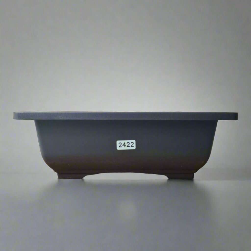 Plastic_Bonsai_Training_Pot_Rectangle_23cm_x_17cm_x_8cm_-_Yorkshire_Bonsai-27341