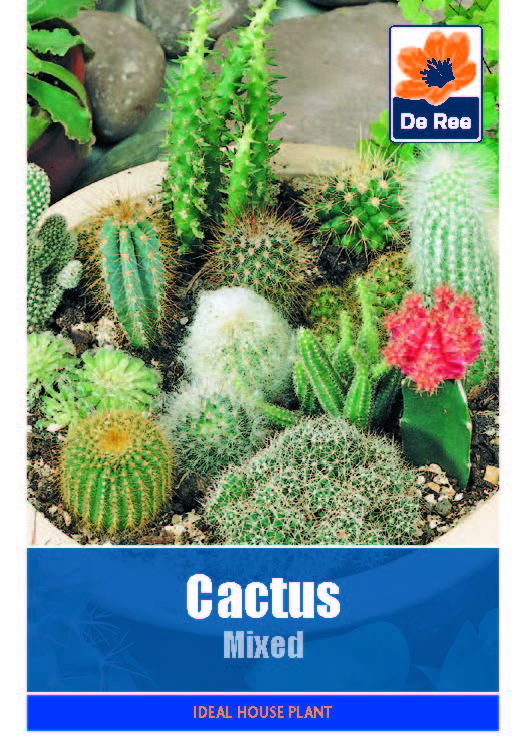 Cactus Mixed Seeds