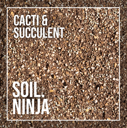 Cactus and Succulent Compost Blend - Soil Ninja