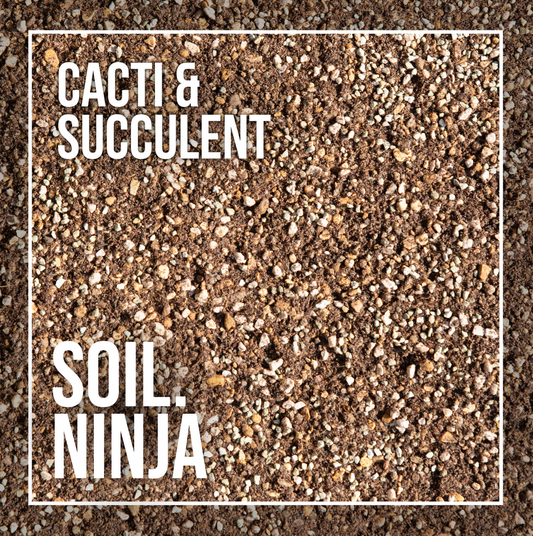 Cactus and Succulent Compost Blend - Soil Ninja