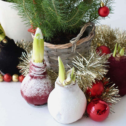 Snow_Atmosphere_02_e4b4d97d-0801-43f9-9d04-910dd38bda7c