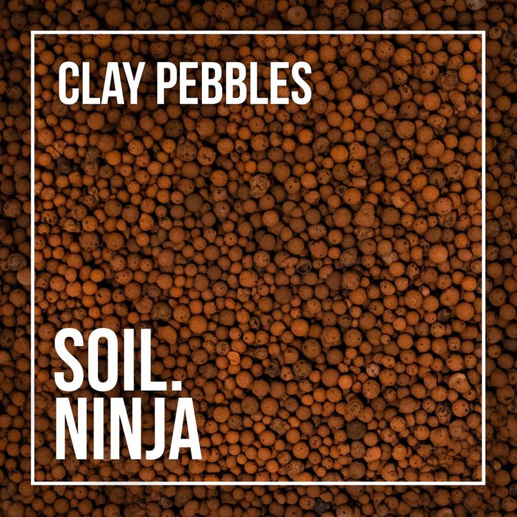 Clay Balls for Plants - Soil Ninja