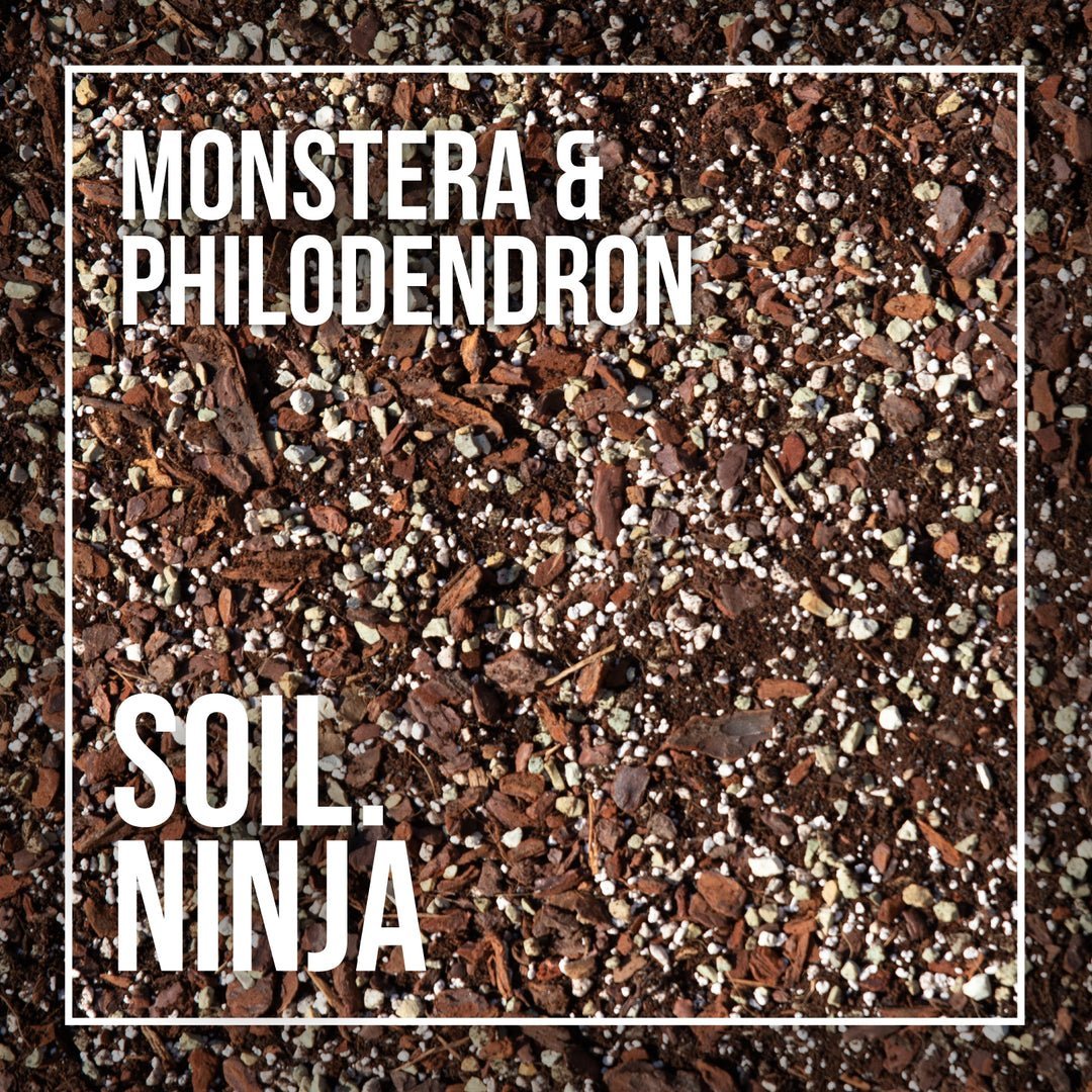 Monstera and Philodendron Soil Mix - Soil Ninja