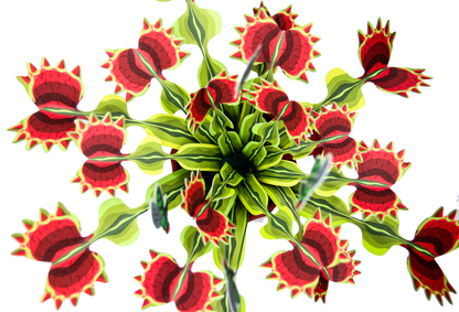 The Venus Fly Trap Artificial Botanical Craft Kit by Plantlike