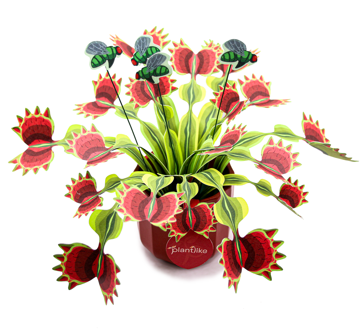 The Venus Fly Trap Artificial Botanical Craft Kit by Plantlike