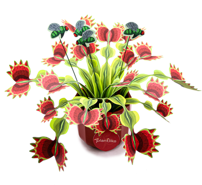 The Venus Fly Trap Artificial Botanical Craft Kit by Plantlike