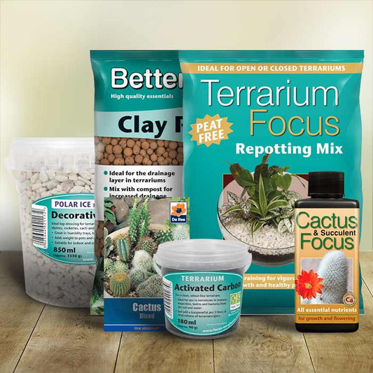 Polar Ice Terrarium Starter Kit