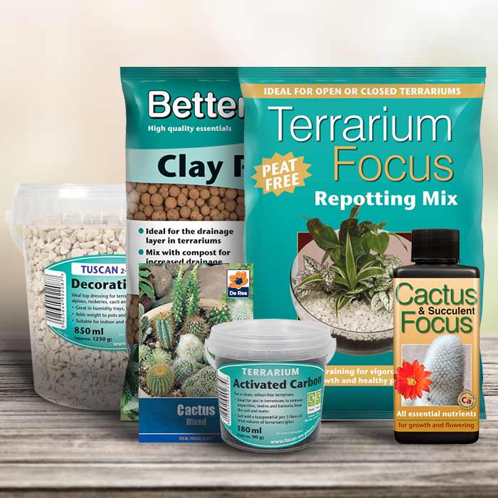 Tuscan Stone DIY Terrarium Kit