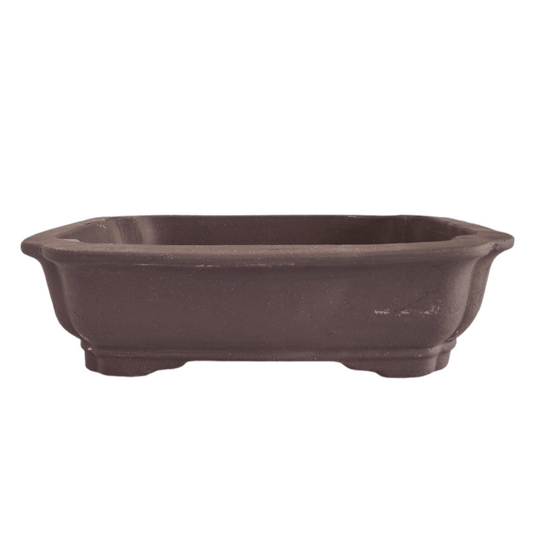 Unglazed_Bonsai_Pot_Rectangle_26cm_x_20cm_x_6cm_YB1127_-_Yorkshire_Bonsai-28117